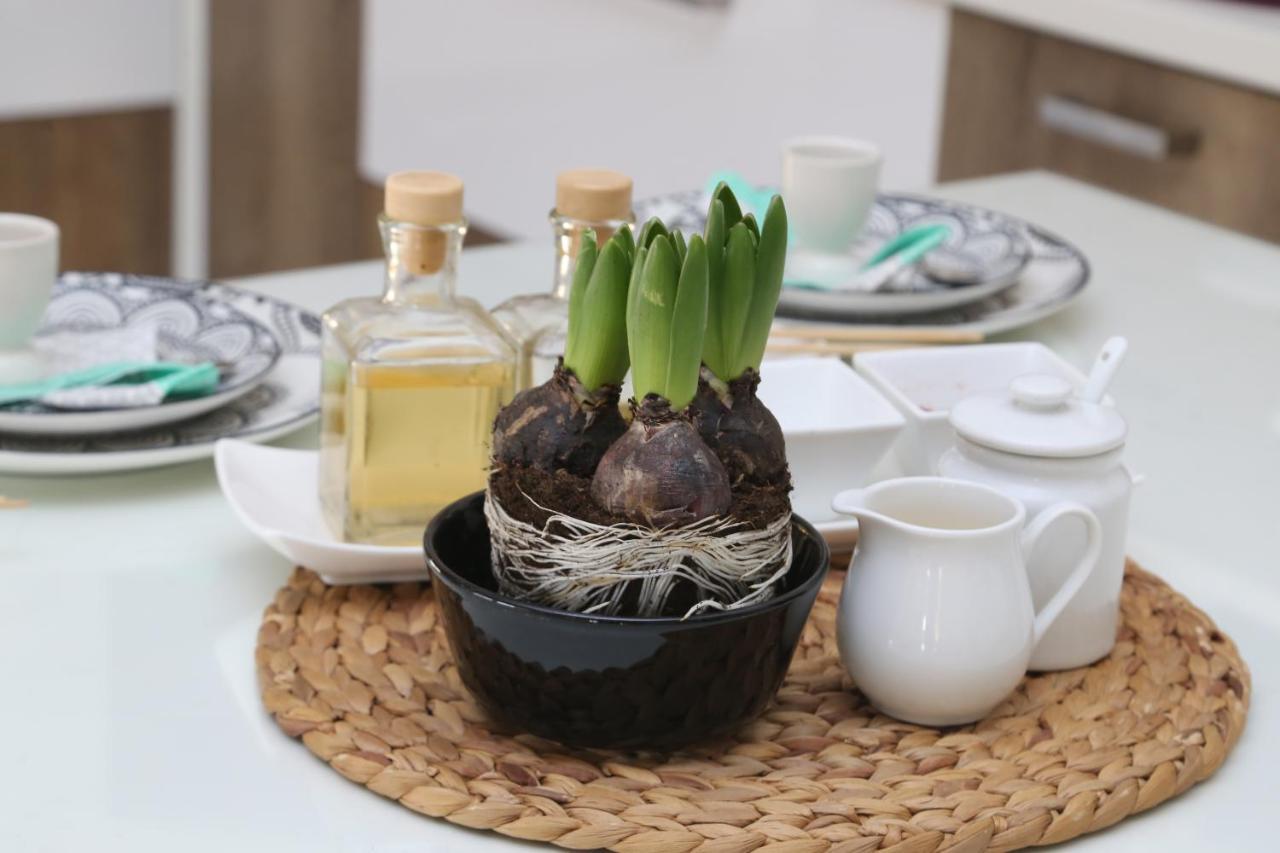 Cozyluxuryapartment كيراموتي المظهر الخارجي الصورة